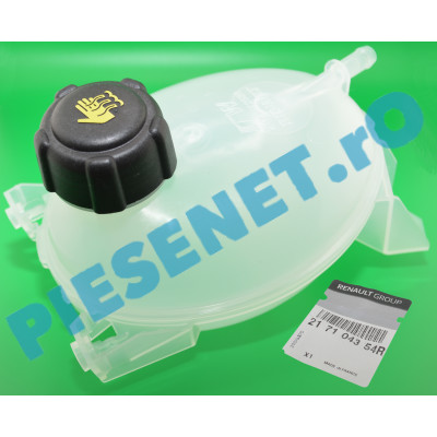 Vas Expansiune LOGAN 2, SANDERO 2, Original Renault 217104354R