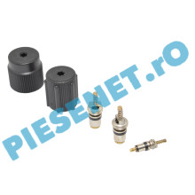 Ventile Incarcare Freon Aer Conditionat Si Capace Conducte, Originale Renault 7701205920