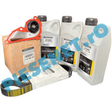 Pachet Revizie Pompa Apa 1.0TCe, LOGAN 3, SANDERO 3, LOGAN 2, DUSTER 2, Renault 210100638R + 117209538R + 7711947052 Pachet Revizie Pompa Apa 1.0TCe, LOGAN 3, SANDERO 3, LOGAN 2, DUSTER 2, Renault 210100638R + 117209538R + 7711947052