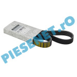 Pachet Revizie Pompa Apa 1.0TCe, LOGAN 3, SANDERO 3, LOGAN 2, DUSTER 2, Renault 210100638R + 117209538R + 7711947052 Pachet Revizie Pompa Apa 1.0TCe, LOGAN 3, SANDERO 3, LOGAN 2, DUSTER 2, Renault 210100638R + 117209538R + 7711947052
