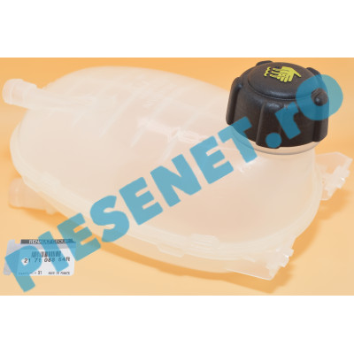 Vas Expansiune LOGAN 3, SANDERO 3, Original Renault 217108864R