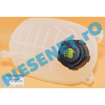 Vas Expansiune LOGAN 3, SANDERO 3, Original Renault 217108864R