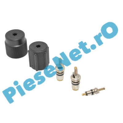 Ventile Incarcare Freon Aer Conditionat Si Capace Conducte, Originale Renault 7701205920