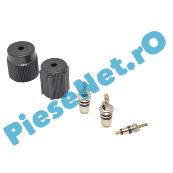 Ventile Incarcare Freon Aer Conditionat Si Capace Conducte, Originale Renault 7701205920
