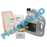 Pachet Revizie Motor 1.0TCe, 0.9TCe, LOGAN 2, SANDERO 2, ( Fara GPL ), Original Renault