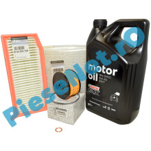 Pachet Revizie Motor 1.0TCe, 0.9TCe, LOGAN 2, SANDERO 2, ( Fara GPL ), Original Renault Pachet Revizie Motor 1.0TCe, 0.9TCe, LOGAN 2, SANDERO 2, ( Fara GPL ), Original Renault