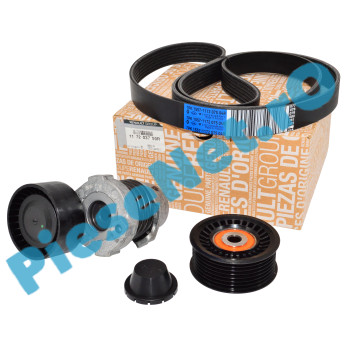 Kit Accesorii 0.9TCe, LOGAN 2, SANDERO 2, Original Renault 117203790R (117203336R)