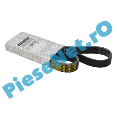 Curea Elastica Accesorii (Transmisie) Motor 1.0TCe, LOGAN 3, SANDERO 3, DUSTER 3, DUSTER 2, JOGGER, Originala Renault 117209538R