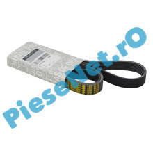 Curea Elastica Accesorii (Transmisie) Motor 1.0TCe, LOGAN 3, SANDERO 3, DUSTER 3, DUSTER 2, JOGGER, Originala Renault 117209538R