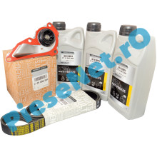 Pachet Revizie Pompa Apa 1.0TCe, LOGAN 3, SANDERO 3, LOGAN 2, DUSTER 2, Renault 210100638R + 117209538R + 7711947052