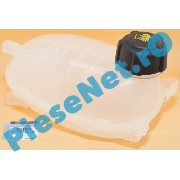 Vas Expansiune LOGAN 3, SANDERO 3, Original Renault 217108864R